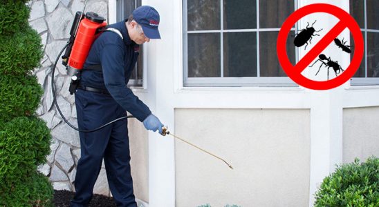 Karpuzlu Bit İlaçlama böcek ilaçlama ve haşere kontrolü — ilaclama-tr.com